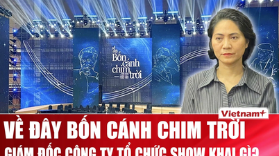 Lời khai của giám đốc công ty tổ chức show 'Về đây bốn cánh chim trời'