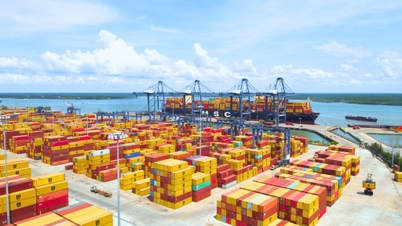 SSIT Port logró un crecimiento récord.