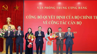 Bayan Nguyen Thi Thu Ha, Vietnam Komünist Partisi Merkez Komitesi Daimi Ofisi Başkan Yardımcılığı görevini yürütmektedir.