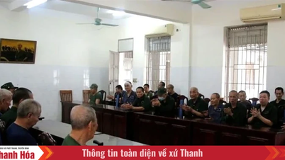 Richt het Thanh Hoa Centrum op voor de zorg en revalidatie van verdienstelijke personen.