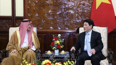 President Luong Cuong received the Ambassadors of Saudi Arabia and the Philippines for their farewells.