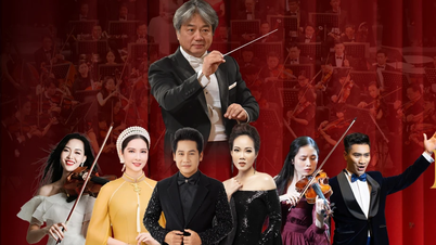 Hanoi Konseri: Mozart ve Vivaldi'nin eserleri Thang Long İmparatorluk Kalesi'nde yankılanıyor.
