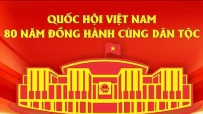 ការហាត់សមសម្រាប់ខួបលើកទី ៨០ នៃការបោះឆ្នោតសកលលើកដំបូងដើម្បីជ្រើសរើសរដ្ឋសភាវៀតណាមនឹងត្រូវធ្វើឡើងនៅថ្ងៃទី ៤ ខែមករា ឆ្នាំ ២០២៦។