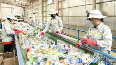 Industri minuman sedang meningkatkan kitar semula pembungkusan untuk menggalakkan ekonomi kitaran.