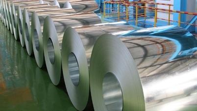 Canada verwerpt de beschuldigingen van Canadese staalproducenten! Conclusie: Er bestaat geen exportmonopolie in de Vietnamese vlakgewalste staalindustrie.