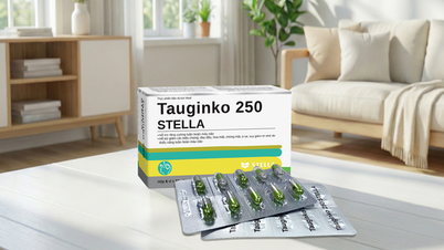Tauginko 250 STELLA: Решение для улучшения мозгового кровообращения в условиях динамичного образа жизни.