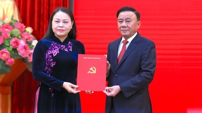 La Sra. Nguyen Thi Thu Ha ha sido nombrada jefa adjunta de la Oficina Central del Partido.
