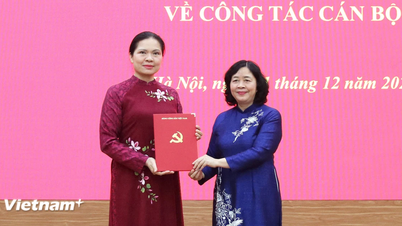 Bà Hà Thị Nga giữ chức Phó Bí thư Thường trực Đảng ủy MTTQ, các đoàn thể Trung ương