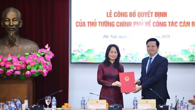 លោកស្រី Lam Thi Phuong Thanh កាន់តំណែងជាអនុរដ្ឋមន្ត្រីអចិន្ត្រៃយ៍ក្រសួងវប្បធម៌ កីឡា និងទេសចរណ៍។