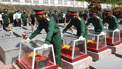 戦死した兵士の遺骨1万体を探し出し、収集する活動。
