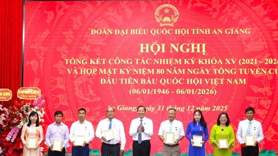 Đoàn đại biểu Quốc hội tỉnh An Giang khóa XV: Khẳng định vai trò “cầu nối”, phát huy trách nhiệm của người đại biểu dân cử