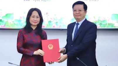 Bà Lâm Thị Phương Thanh làm Thứ trưởng Thường trực Bộ VH-TT&DL