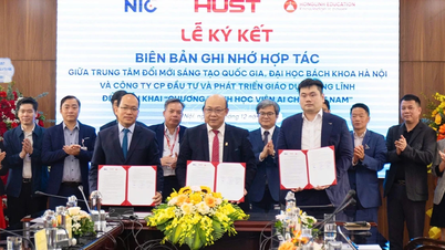 Melaksanakan "Program Akademi AI untuk Vietnam" bagi memenuhi strategi pembangunan negara.