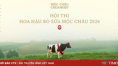 Concours Miss Vache Laitière 2026 : Le patrimoine du plateau de Moc Chau fait son retour