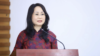 Fru Lam Thi Phuong Thanh er utnevnt til fast viseminister for kultur, idrett og turisme.