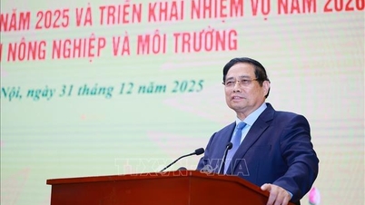 Primer Ministro Pham Minh Chinh: La agricultura y el medio ambiente siguen siendo pilares para un crecimiento económico de dos dígitos.