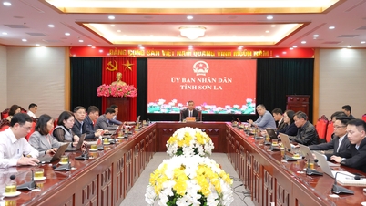 The Ministry of Agriculture and Environment summarizes its work in 2025 and outlines its tasks for 2026.