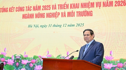 2025: زرعی، جنگلات، اور آبی مصنوعات کی برآمدات 70 بلین امریکی ڈالر سے زیادہ کی بلند ترین سطح پر پہنچ جائیں گی۔