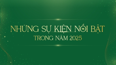 2025 کے اہم واقعات
