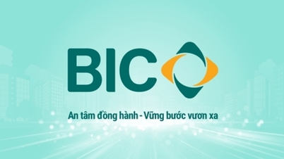 BIC meluncurkan identitas merek baru.