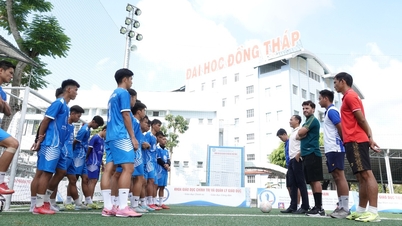 Dong Thap University is determined to undergo a transformation on home soil.
