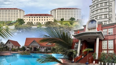 Universiti Kewangan dan Pemasaran telah memperoleh tiga hartanah (rumah dan tanah) di Bandar Raya Ho Chi Minh, Hue dan Lam Dong.