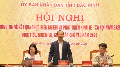 Bac Ninh dosahuje vysokého růstu a rozvíjí udržitelné zelené zemědělství.