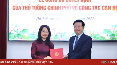លោកស្រី Lam Thi Phuong Thanh កាន់តំណែងជាអនុរដ្ឋមន្ត្រីក្រសួងវប្បធម៌ កីឡា និងទេសចរណ៍។