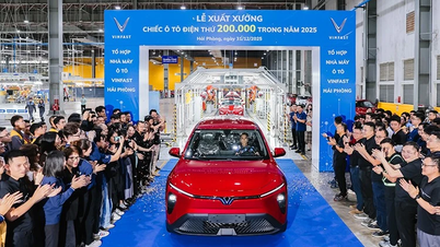Компания VinFast Hai Phong планирует выпустить свой 200-тысячный электромобиль в 2025 году.