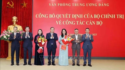 សមមិត្ត ឡាំ ធី ភឿង ថាញ់ កាន់តំណែងជាអនុរដ្ឋមន្ត្រីអចិន្ត្រៃយ៍ក្រសួងវប្បធម៌ កីឡា និងទេសចរណ៍។