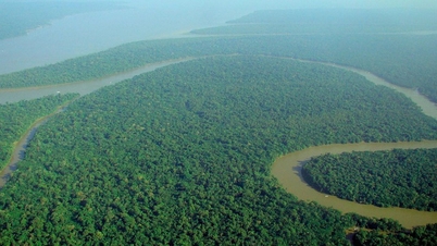Están surgiendo patrones climáticos peligrosos en la selva amazónica que amenazan todo el ecosistema.