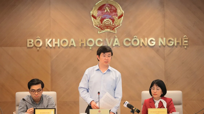 The Ministry of Science and Technology will not allow a situation where "laws are waiting for decrees" to occur.