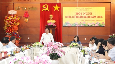 ដោយសម្រេចបានចំណូលជាង ១០១ ពាន់ពាន់លានដុង ខេត្តដុងណៃបានលើសគោលដៅចំណូលថវិការបស់ខ្លួនសម្រាប់ឆ្នាំ ២០២៥។