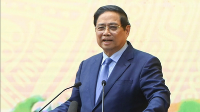Perdana Menteri Pham Minh Chinh: 'Pertanian adalah tulang belakang ekonomi dan tidak boleh dipandang remeh'