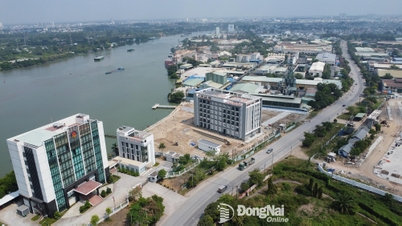 El Parque Industrial Bien Hoa 1 está listo para la transformación funcional.