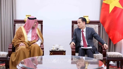 Foreign Minister Le Hoai Trung receives the Saudi Arabian Ambassador for a farewell visit.