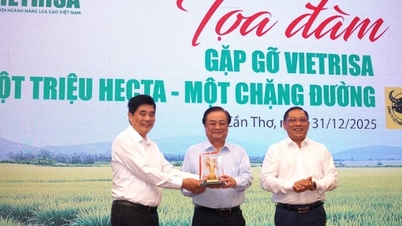 អង្ករដែលមានគុណភាពខ្ពស់ ១ លានហិកតា៖ ការផ្លាស់ប្តូរផ្នត់គំនិតពី «ការធ្វើច្រើន» ទៅជា «ការធ្វើវាបានត្រឹមត្រូវ»
