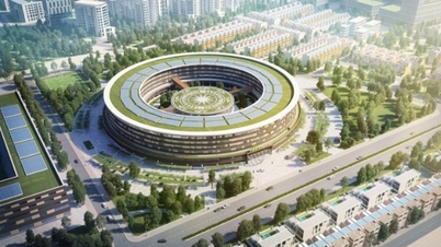 디지털 기술 집중 구역은 최소 5헥타르의 면적을 확보해야 합니다.