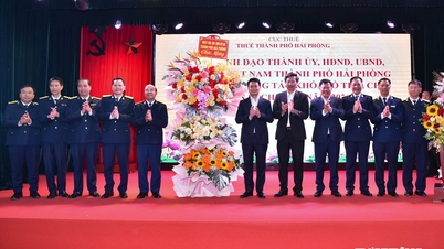 2025 میں Hai Phong کے بجٹ کی آمدنی 190,000 بلین VND سے تجاوز کر جائے گی۔