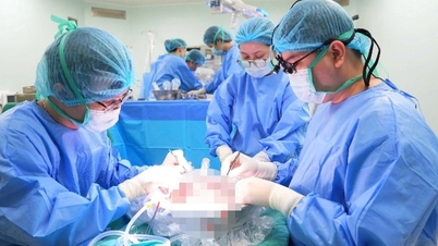 Úspěšně provést poslední transplantaci jater v roce 2025.