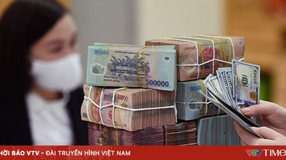مجازات‌های سختگیرانه برای تخلفات ارزی: بازگرداندن شفافیت به جریان‌های سرمایه