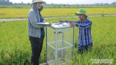 In der Provinz Thanh Hoa wird die Bewegung für eine saubere Produktion im Zusammenhang mit Umweltschutz vorangetrieben.