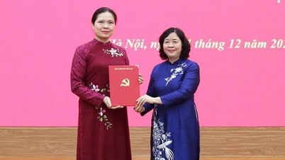 Ms. Ha Thi Nga holds the position of Permanent Deputy Secretary of the Party Committee of the Vietnam Fatherland Front and Central Mass Organizations.