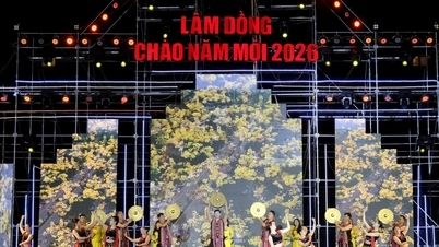 Lam Dong ili, 2026 yılını muhteşem bir şekilde karşılıyor.