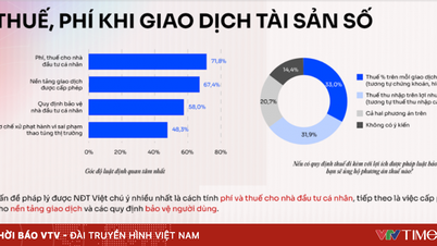 Vietnam'da Kripto Para Piyasası: Piyasa gerçekleri yasal çerçevelerin önüne geçiyor.