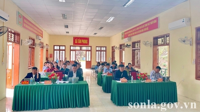 Sixth Special Session of the People's Council of Tan Phong Commune