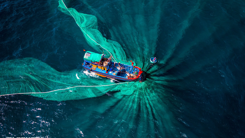 Visit Lo Dieu fishing village in Gia Lai to see fishermen 'drawing' clover on the sea