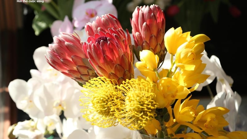 Las flores "ricas" que cuestan 1 millón de VND cada una siguen siendo populares el 20 de octubre